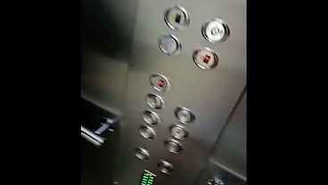 Nonton Pillada En El Ascensor Teniendo Sexo thumbnail