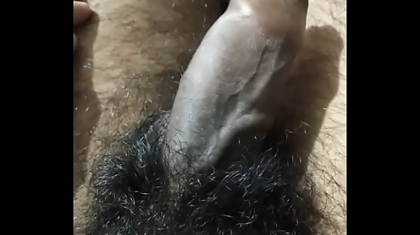 Indian Cock Rubbing thumbnail