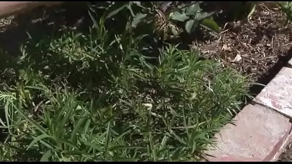 Nonton Tory Lane Gets A Load In Her Face thumbnail