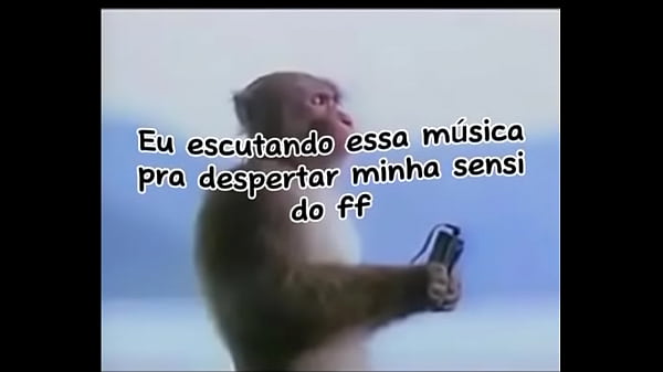 V&iacute_deo de verifica&ccedil_&atilde_o