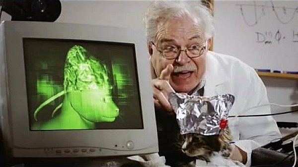 Nonton Young And Small Tittied Babe Gets Hardcore thumbnail