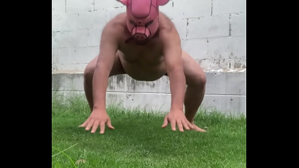 Cerdito en el pasto
