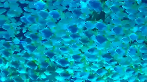 Putaria&andarilios thumbnail