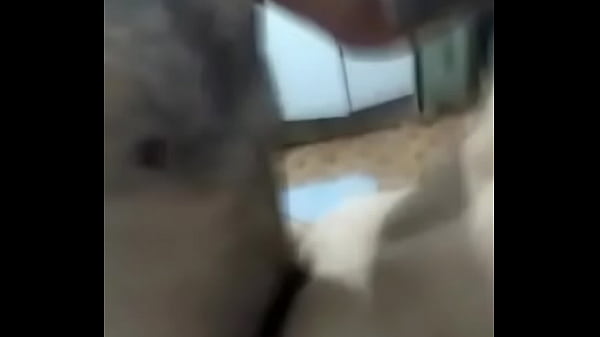 V&iacute_deo de verifica&ccedil_&atilde_o