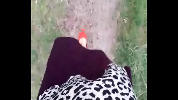 Walk on the forest