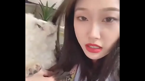 验证视频
