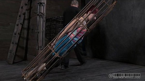 Hoisted Hotty Waits Lustily thumbnail