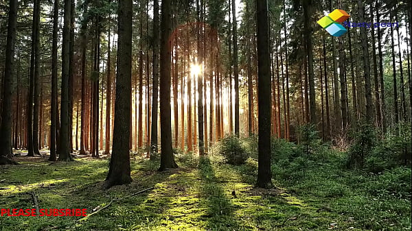 Nonton Sweet Hubby I Wont Let You Work Till You Fuck Me. Please Subscribe thumbnail