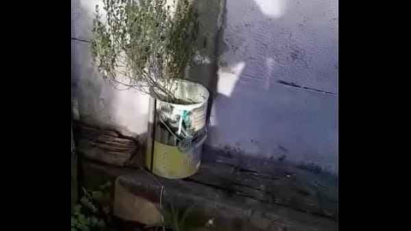 Tirando En El Patio thumbnail