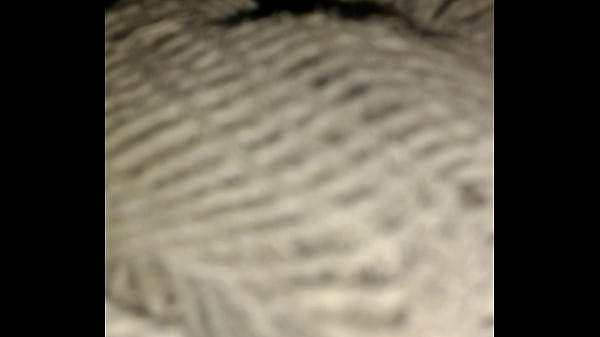 Noche De Placer thumbnail