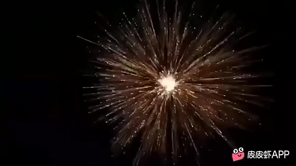 验证视频