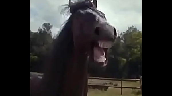 Nonton Dandole X El Culo thumbnail