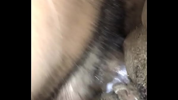 Prego Puss thumbnail