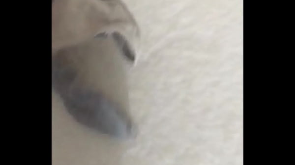 El Mejor Hilo Que Tiene Mi Jefa, Buenas Tangas thumbnail