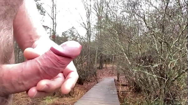 Boardwalk , Enjoying Myself Out In Nature. thumbnail