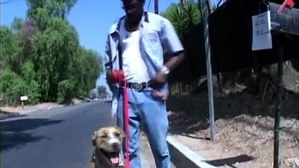 Nonton She Is A Dog Lover And A Cock Lover Too thumbnail