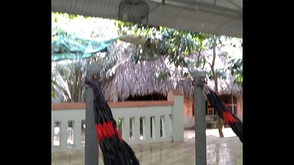 Video x&aacute_c minh