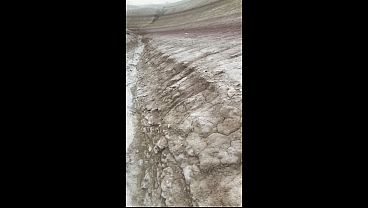 Nonton Public Sex In Nature! Fucked A Blonde On A Hiking Trail! Pov! thumbnail