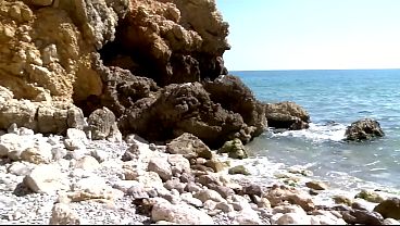 Nonton Group thumbnail