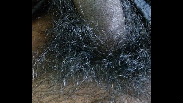 Desi cock
