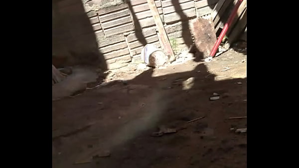 Esposa De Corno Fortaleza Se Exibindo thumbnail