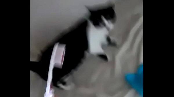 Nonton Toothbrush Analisis thumbnail