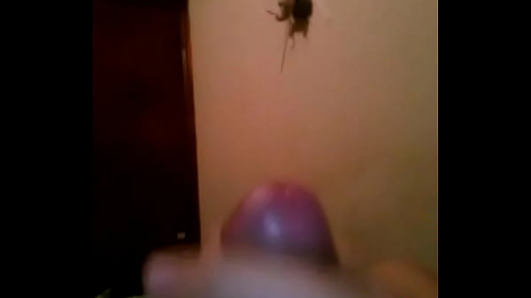 Joven Paisa Medellin Colombia thumbnail