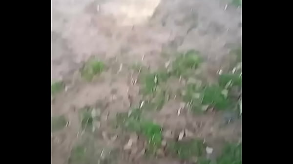V&iacute_deo de verifica&ccedil_&atilde_o