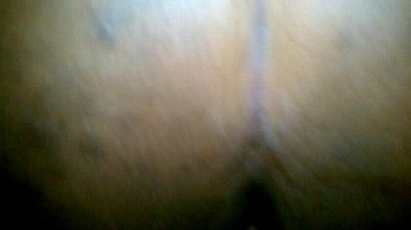 Nonton Getting Blown By My Ex thumbnail