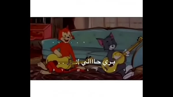 فيديو التحقق
