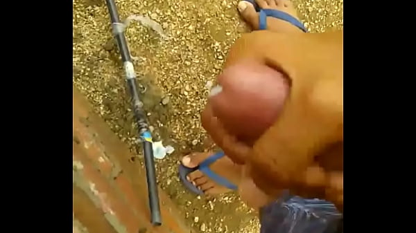 Gatinho 2 quase simp&aacute_tico