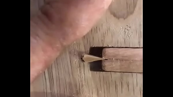 V&iacute_deo de verificaci&oacute_n