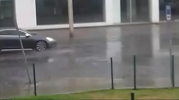 V&iacute_deo de verificaci&oacute_n