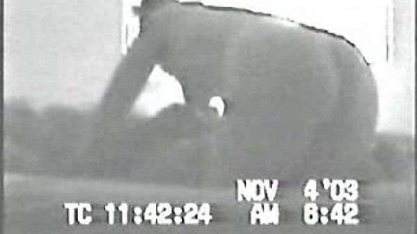 Morning Face Fuck - Nov thumbnail