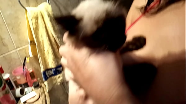 Sarah Rosa │ No Banho Miguel ║ Neste V&iacute;deo Ela Mostra Como Banhou Seu Gatinho Miguel thumbnail