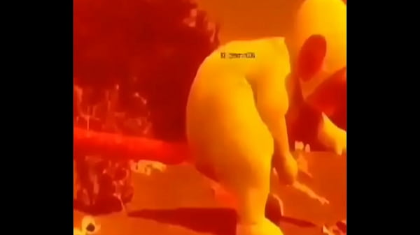 V&iacute_deo de verificaci&oacute_n