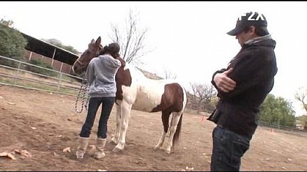 Nonton Surf2x.net I.love.anal Seaporn.org 05 thumbnail