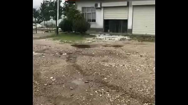 验证视频