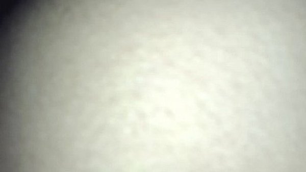 Nonton Stepsister's Tight Pussy thumbnail