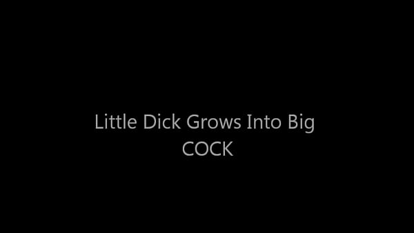 littledick
