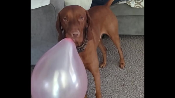 Nonton Cool Gyatt Rizz thumbnail