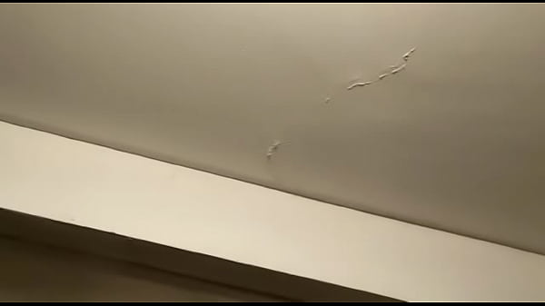 V&iacute_deo de verificaci&oacute_n