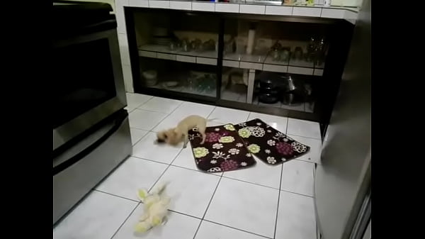 Funny .... Sexy Blonde Got Two Cocks ? thumbnail