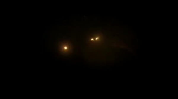 Nonton Welcome To Porn New Columbian Girl Jazmine Sweet Intense Hardcore Very First Scene Ever Casting! thumbnail