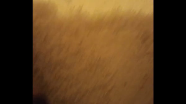 Www.xvideos.com 