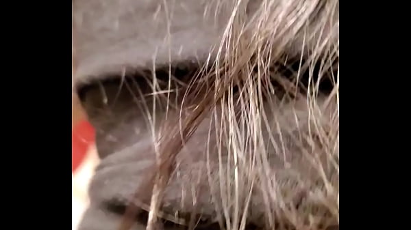 Honey Domingo Fuck In Ass Hard Love Long Time thumbnail