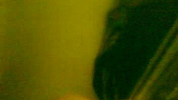 Shower Amateur Tease thumbnail