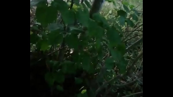 Nonton Doggystyle In The Wood thumbnail