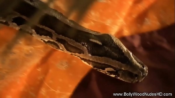 Nonton Slithering Around Naked In India thumbnail