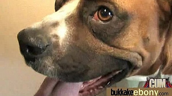 Interracial Bukkake Sex With Black Porn Star 25 thumbnail